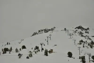 DSC_6717 (Large).JPG